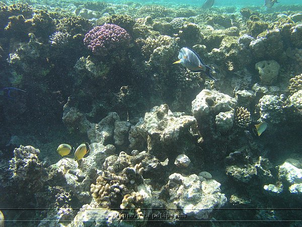 P2280084.JPG