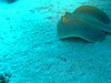 P3010196.JPG