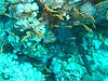 P3010202.JPG