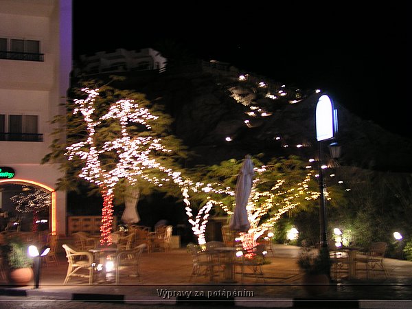 P1010132.JPG