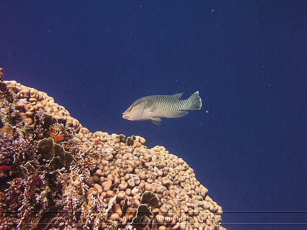 P3290144.JPG