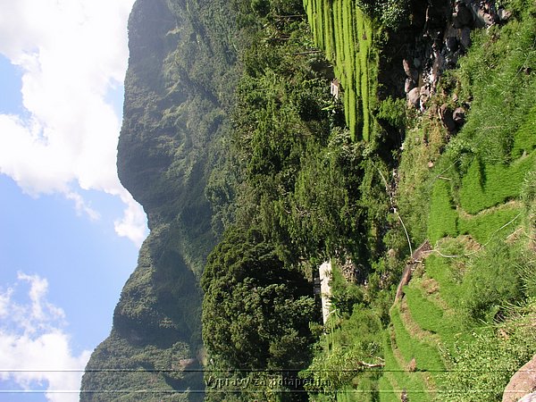 P1010059.JPG