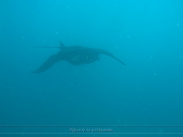 P1010108.JPG