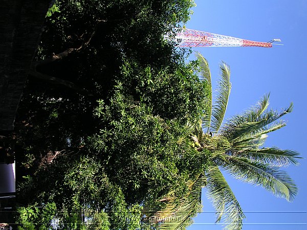P4160137.JPG