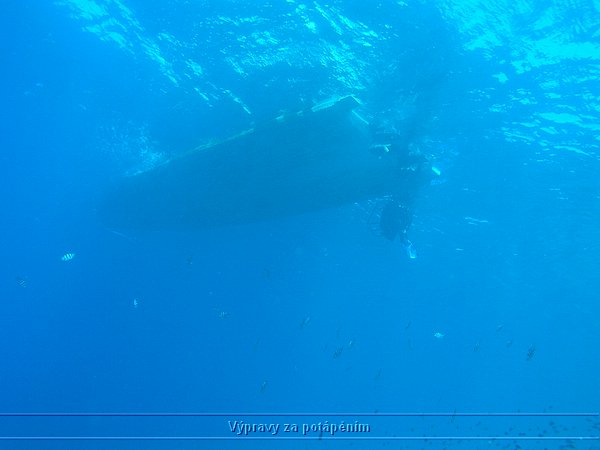 P4250101.JPG