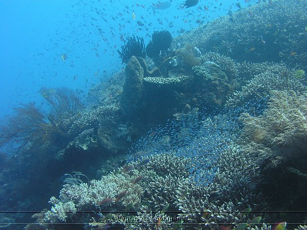 P4260124.JPG