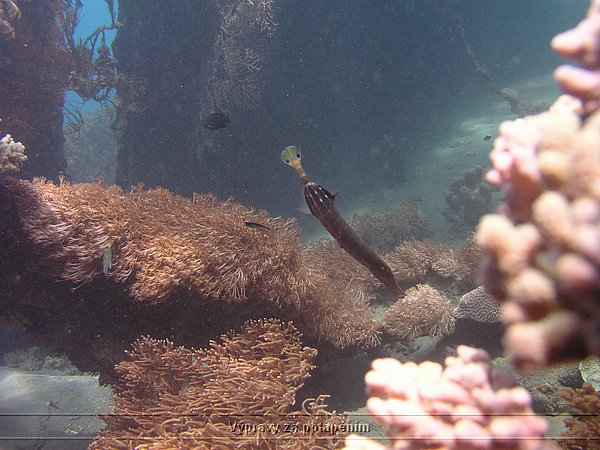 P4260144.JPG
