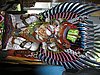 P4270170.JPG