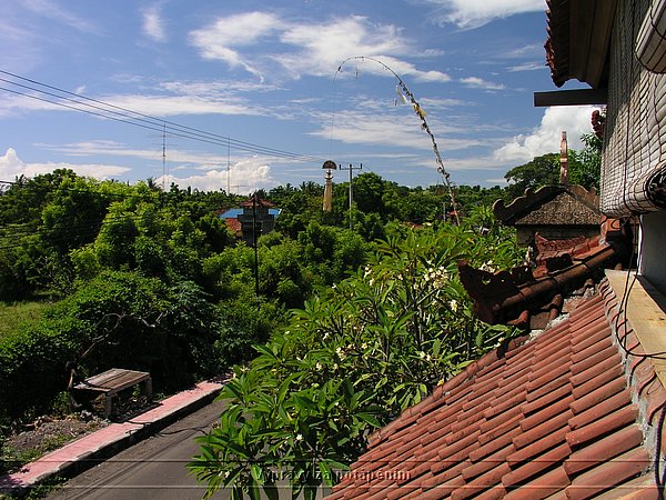 P4170194.JPG