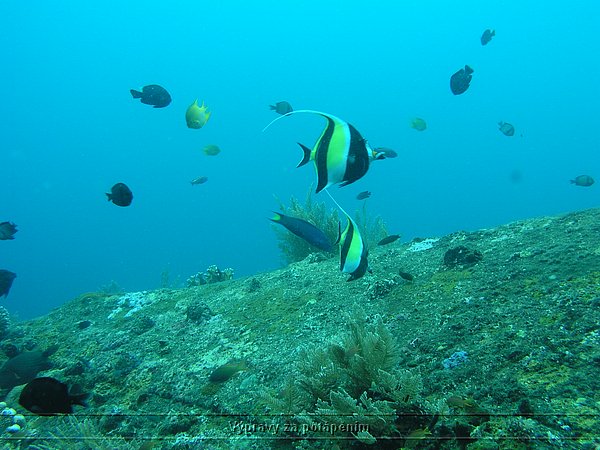 P4170264.JPG