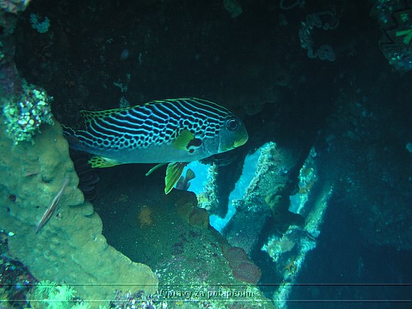 P4170284.JPG