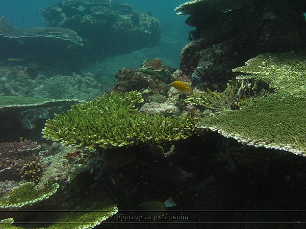 P4190128.JPG