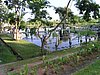P4190205.JPG