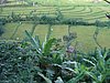P4190209.JPG