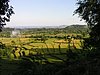 P4190212.JPG