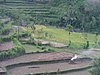 P4190231.JPG