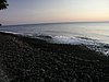P4200249.JPG