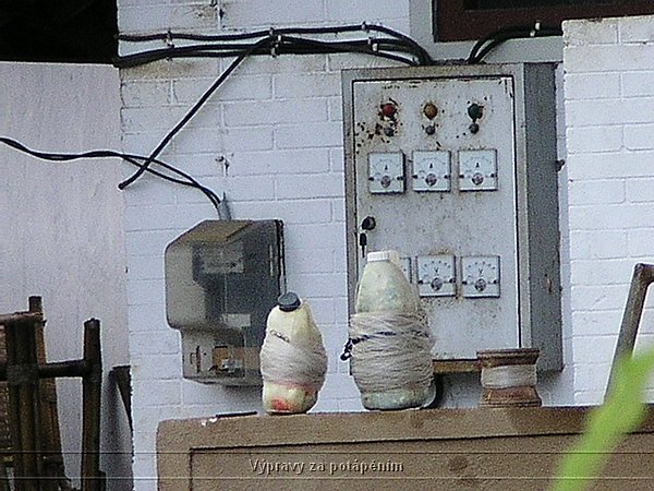 P4200075.JPG