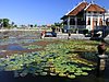 P4220151.JPG