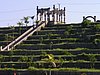 P4220155.JPG