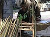 P4220161.JPG