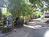 P4220167.JPG