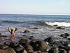 P4220170.JPG