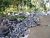 P4220182.JPG