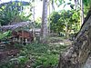 P4220183.JPG