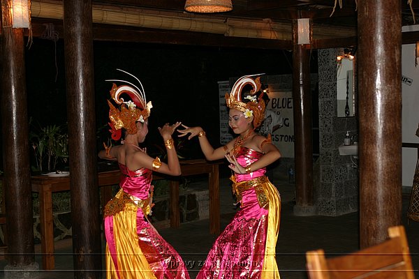 IMG_0405.JPG
