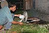 IMG_0249.JPG