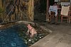 IMG_0251.JPG