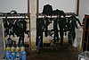 IMG_0260.JPG