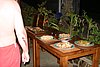 IMG_0313.JPG