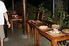 IMG_0314.JPG