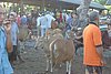 IMG_0439.JPG