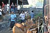 IMG_0441.JPG