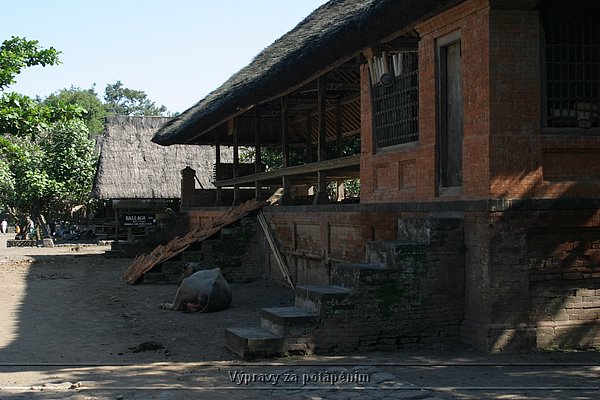 IMG_0068.JPG