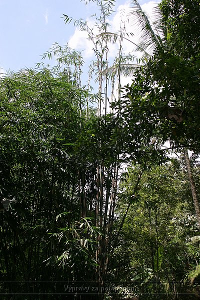IMG_0180.JPG