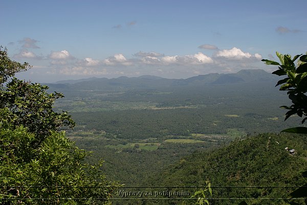 IMG_0317.JPG