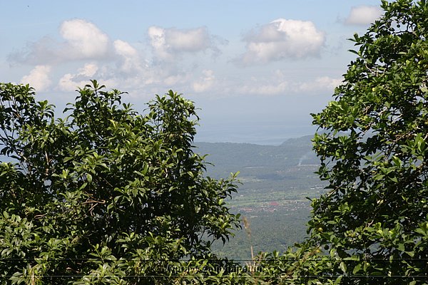 IMG_0318.JPG