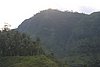 IMG_0132.JPG