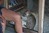 IMG_0138.JPG
