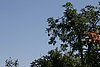 IMG_0139.JPG