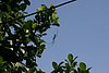 IMG_0140.JPG