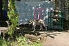 IMG_0149.JPG