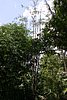 IMG_0180.JPG