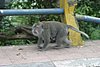 IMG_0191.JPG