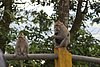 IMG_0194.JPG