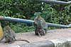 IMG_0195.JPG